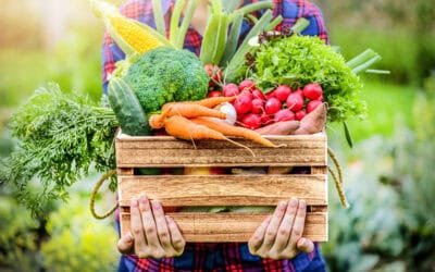 Gemeinsamer Appell: Einzelhandel und WWF fordern Maßnahmen für pflanzenreiche Ernährung