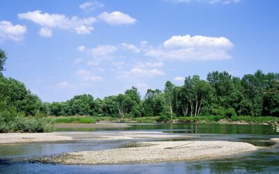 WWF: Slowenien beschließt AUS für Murkraftwerke an Grenze zur Steiermark