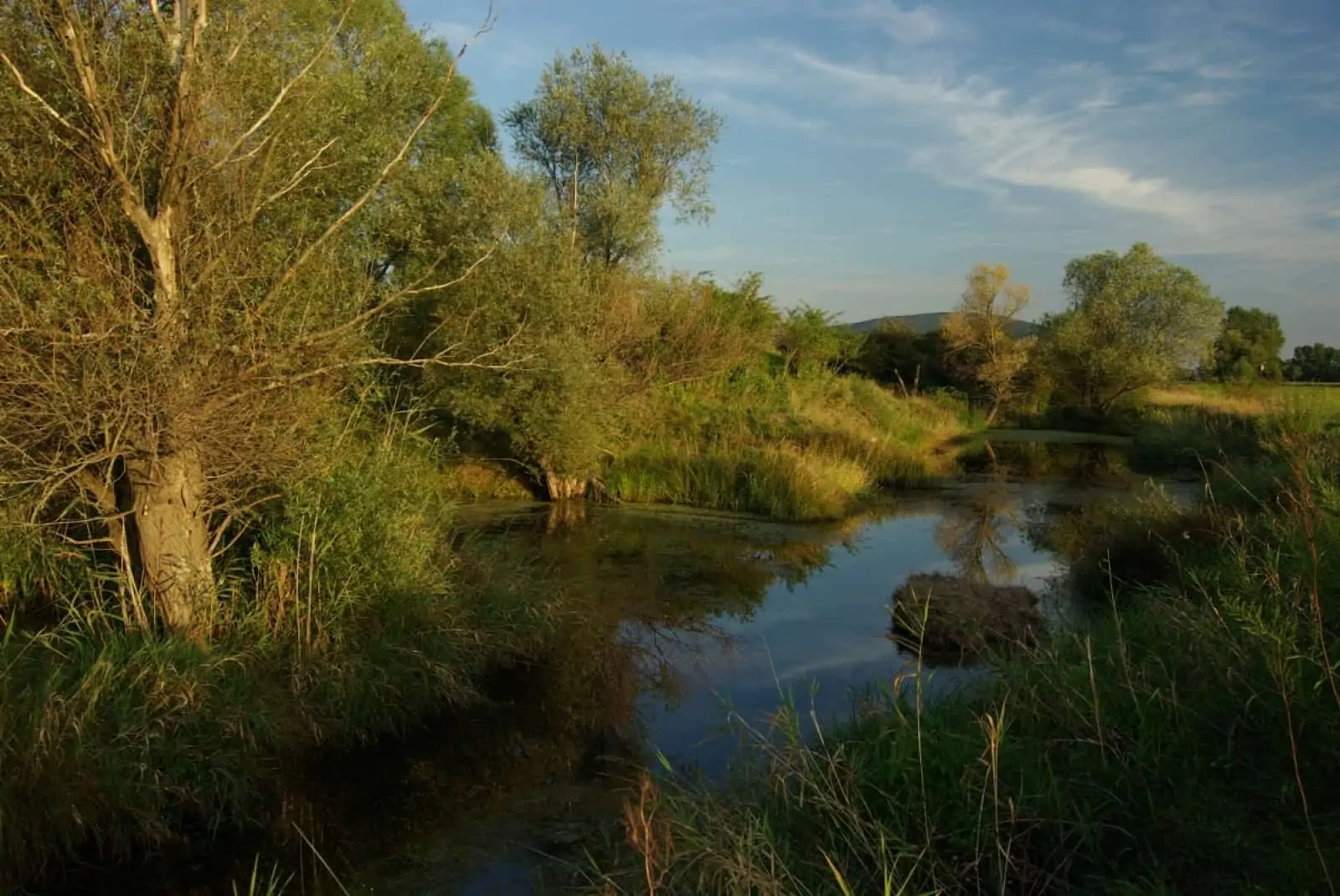 Auenlandschaft, © by WWF Auenlandschaft, © by WWF