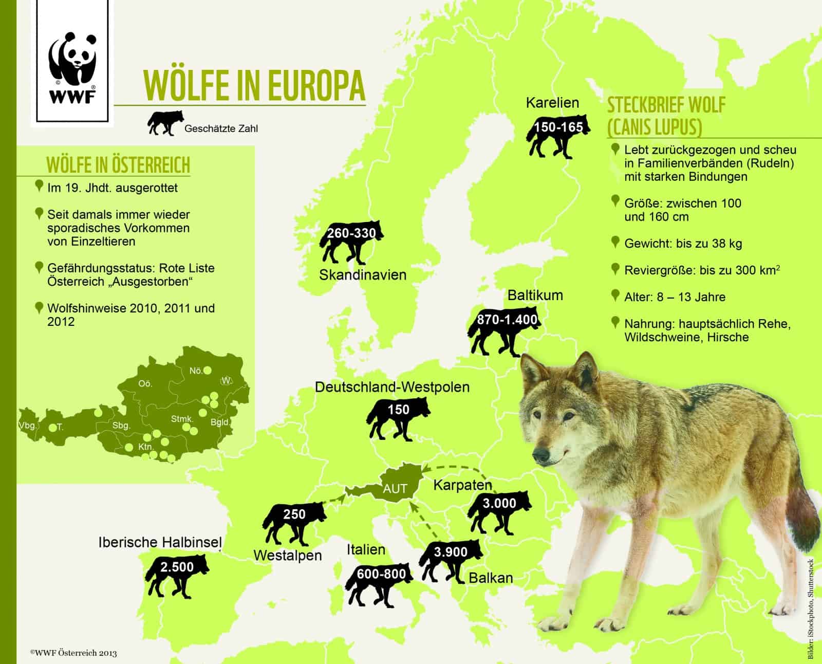 Karte zur Wolfverbreitung in Europa, © by WWF Karte zur Wolfverbreitung in Europa, © by WWF