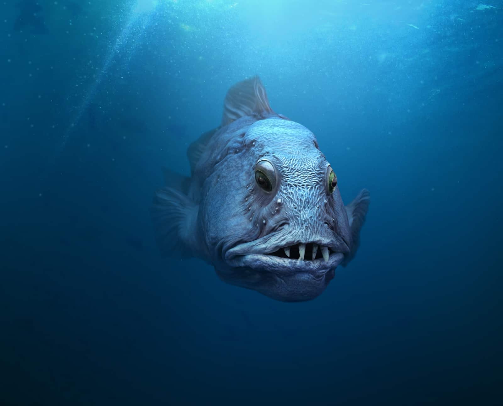 WWF wirbt mit "hässlichen" Fischen
