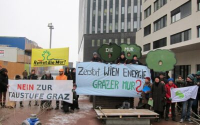 Murkraftwerk: Offener Brief