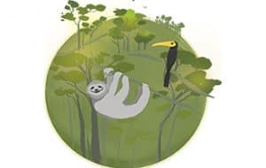 living planet report Kids Amazonas Illu, © by WWF UK living planet report Kids Amazonas Illu, © by WWF UK