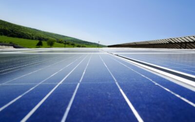 WWF: Wirtschaftskammer muss Klimaschutz-Blockade aufgeben