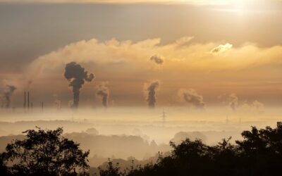 WWF zum EU-Umweltbericht: Umweltpolitische Fahrlässigkeit beenden