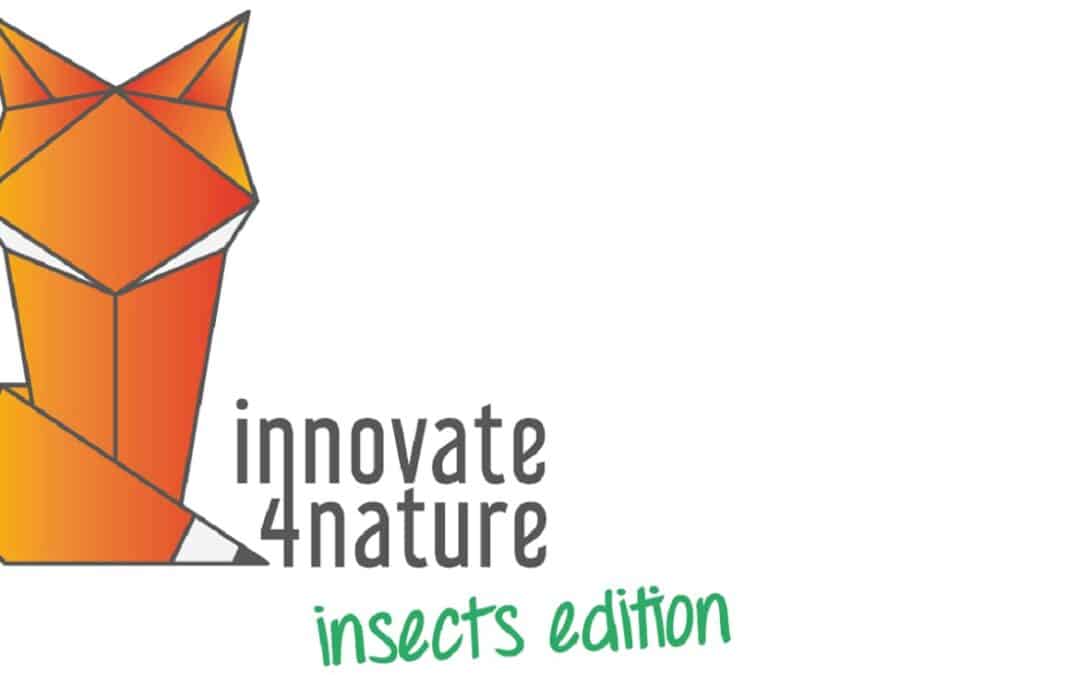innovate4nature insects edition: die Finalistinnen und Finalisten stehen fest!