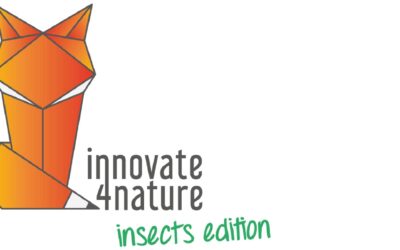 innovate4nature insects edition: die Finalistinnen und Finalisten stehen fest!