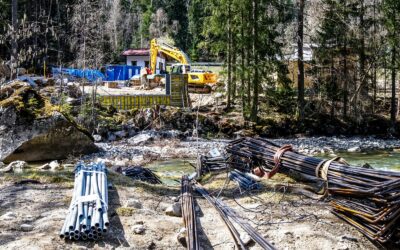 WWF fordert Naturschutzkriterien für Ökostrom-Subventionen