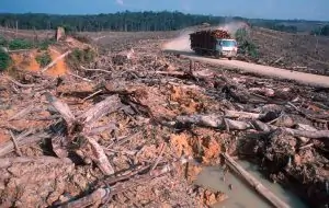 Hier können keine Tiere mehr leben, © by A.Compost/WWF Hier können keine Tiere mehr leben, © by A.Compost/WWF