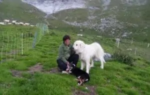 Astrid mit zweien ihrer Hunde, © by A. Summerer
