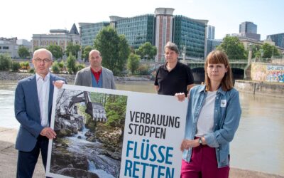 WWF zum Erneuerbaren-Ausbau-Gesetz: Bundesregierung muss wirksame Naturschutz-Kriterien verankern