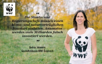 EU-Gipfel: WWF fordert wirksame Klimaschutz-Kriterien für Budget und Wiederaufbaufonds