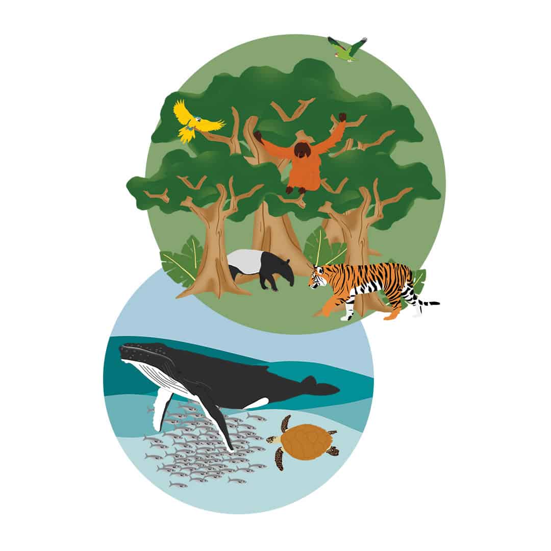 Arten und Lebensräume sind bedroht, © by WWF-UK Arten und Lebensräume sind bedroht, © by WWF-UK
