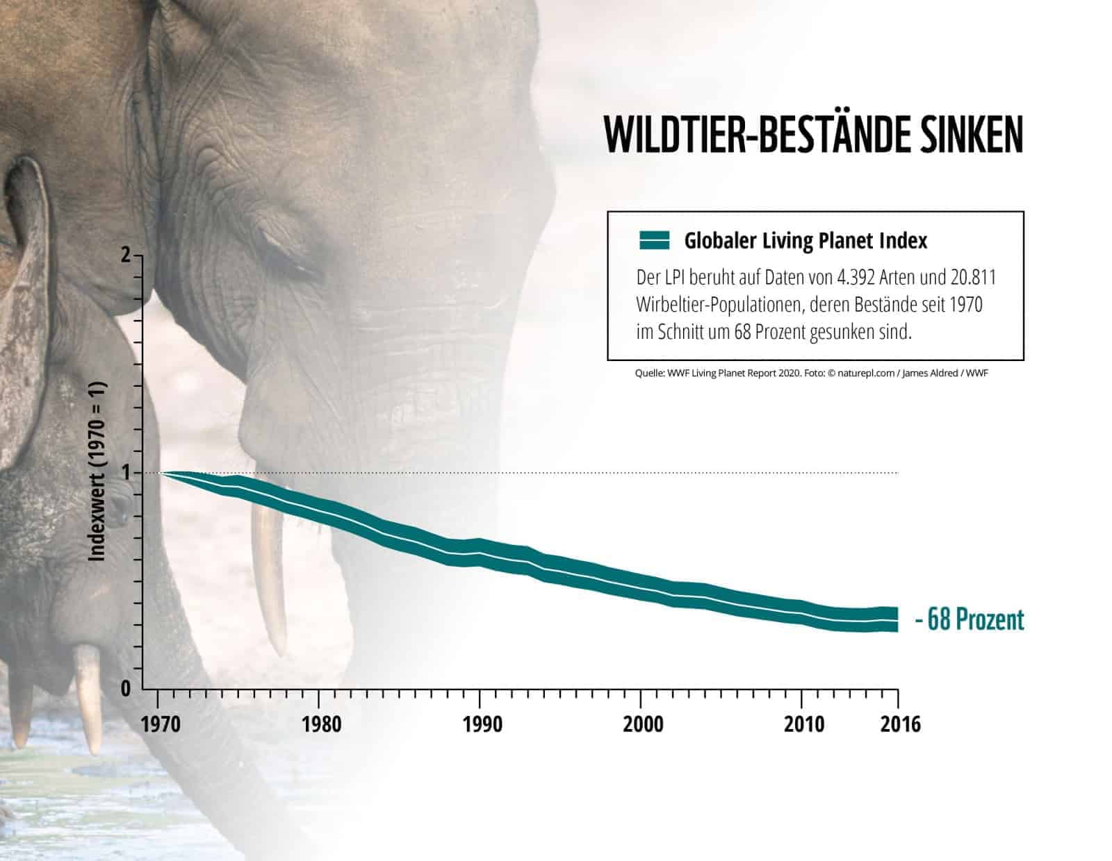 Artenvielfalt geht zurück, © by @WWF, Living Planet Report 2020