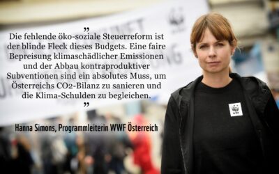 Koalition: Unternehmen fordern ambitioniertes Klimaschutzprogramm