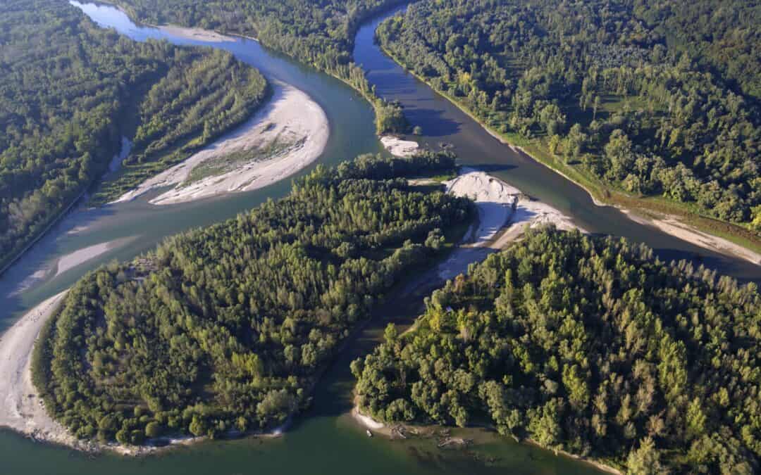 lifelineMDD: Die schönsten Erfolgeaus dem Projekt rund um Mur, Drau und Donau