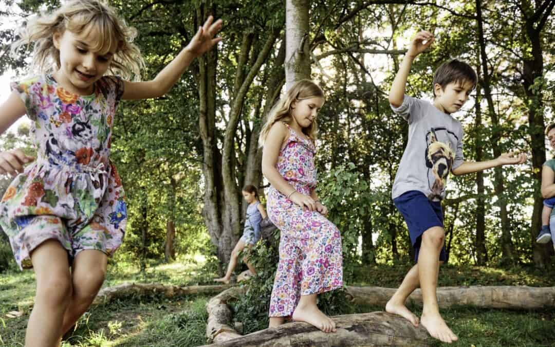 Video: Die Superkräfte des Waldes