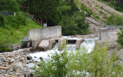 WWF zu neuer Nature-Studie: Unnötige Querbauwerke abreißen und freifließende Flüsse schützen