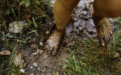 Immer mehr Grün verschwindet unter Beton