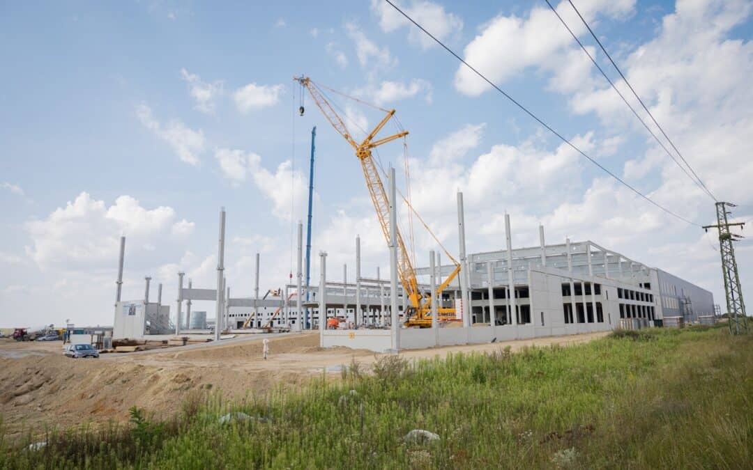 WWF zum Statistik Austria-Report: Hoher Flächenfraß gefährdet Österreichs Zukunft