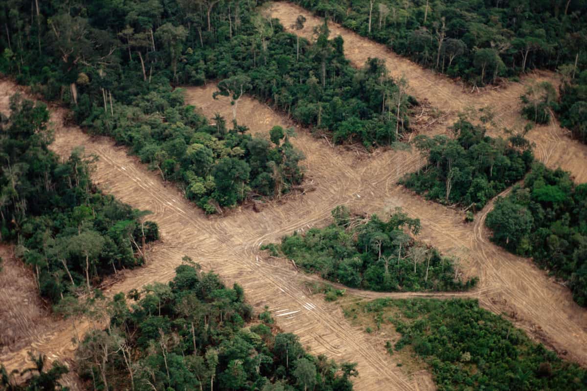 Abholzung, Amazonasregenwald, © by  © Staffan Widstrand / WWF