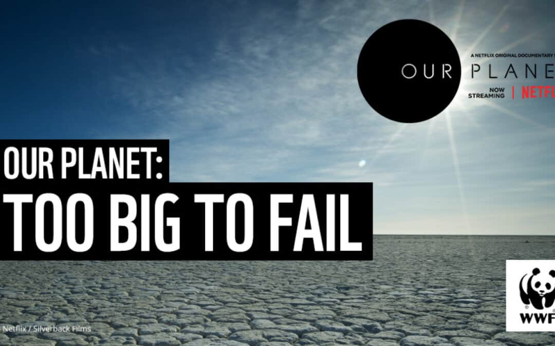 Our Planet: Too big to fail