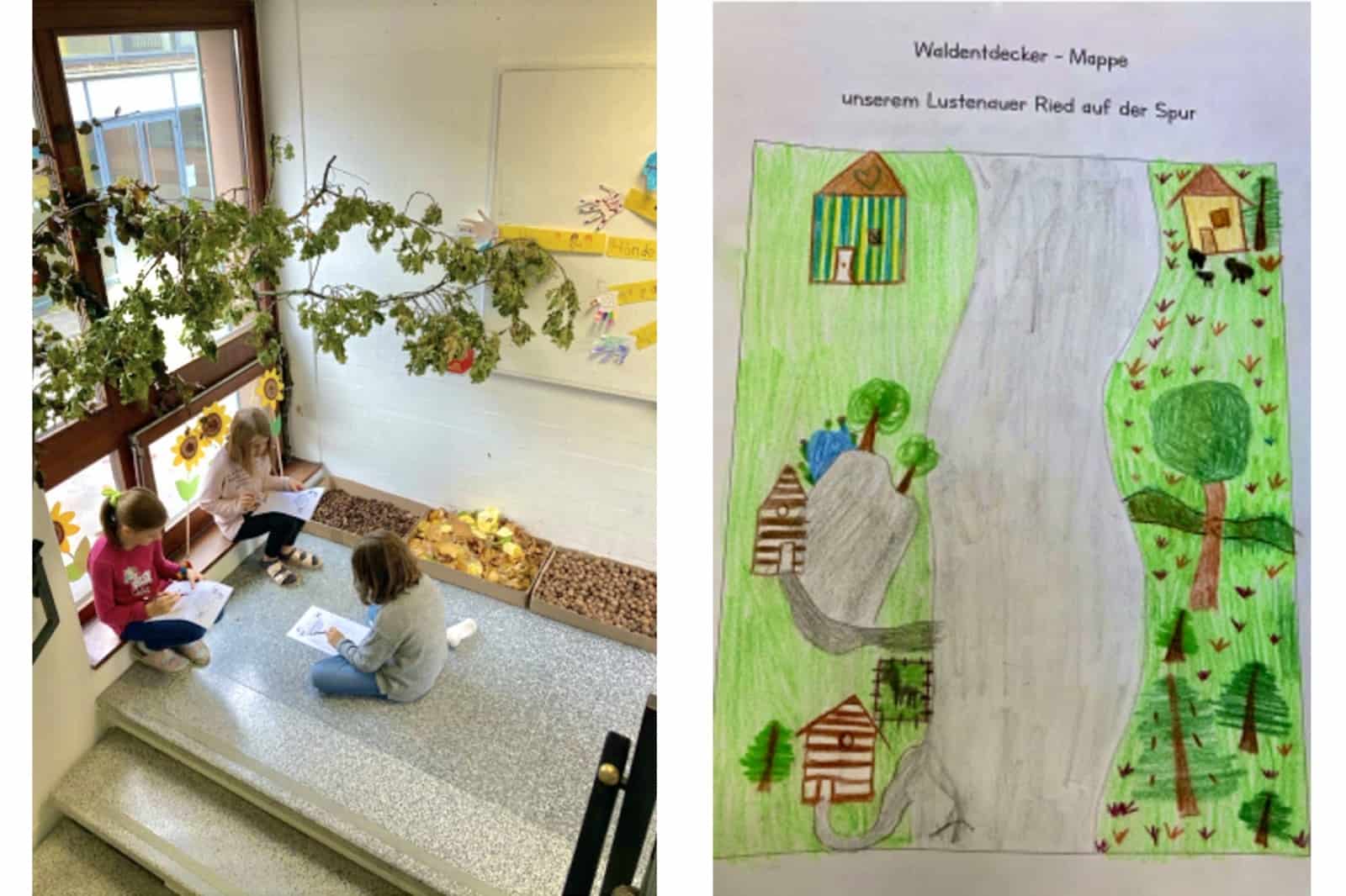 Der Wald im Stiegenhaus und im Klassenzimmer, © by 4C Rotkreuzschule Lustenau/Monika Lapitz Der Wald im Stiegenhaus und im Klassenzimmer, © by 4C Rotkreuzschule Lustenau/Monika Lapitz