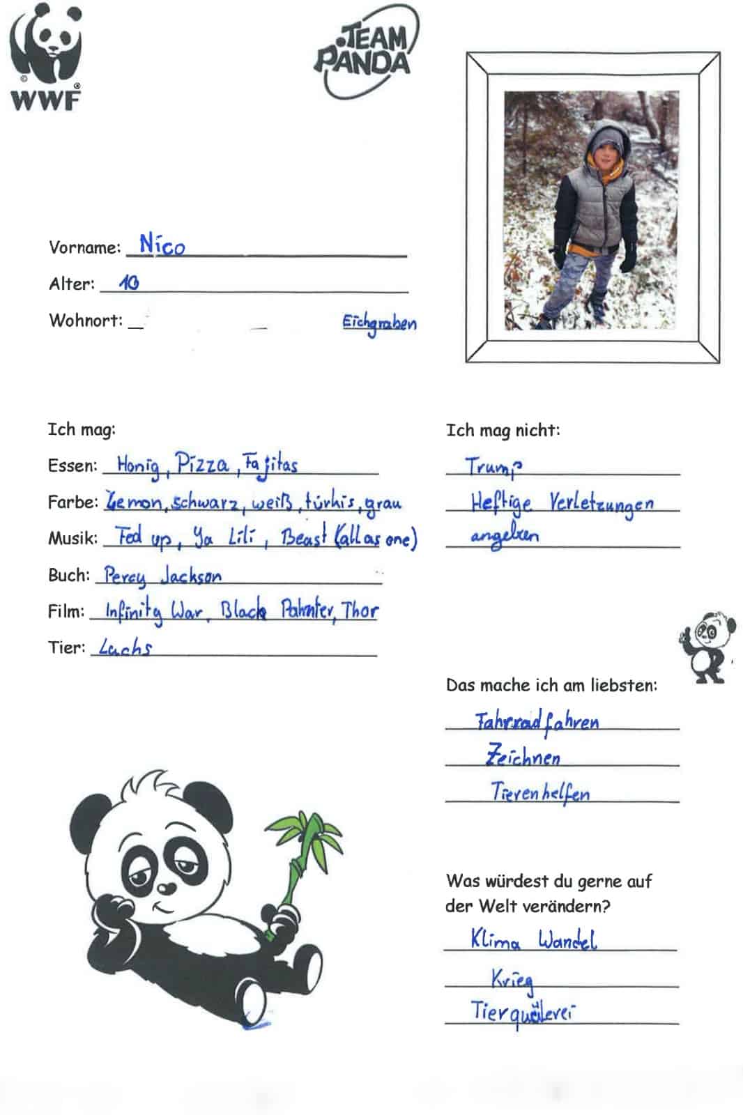 Nico aus Eichgraben, © by privat Nico aus Eichgraben, © by privat
