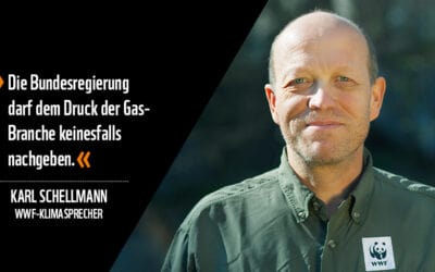 WWF kritisiert teure Luftschlösser der Gas-Branche