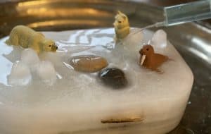 Die Tiere werden freigelegt, © by WWF Die Tiere werden freigelegt, © by WWF