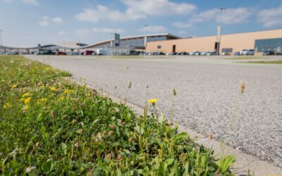 „Die Verbauung Österreichs“ – WWF präsentiert Boden-Report 2021