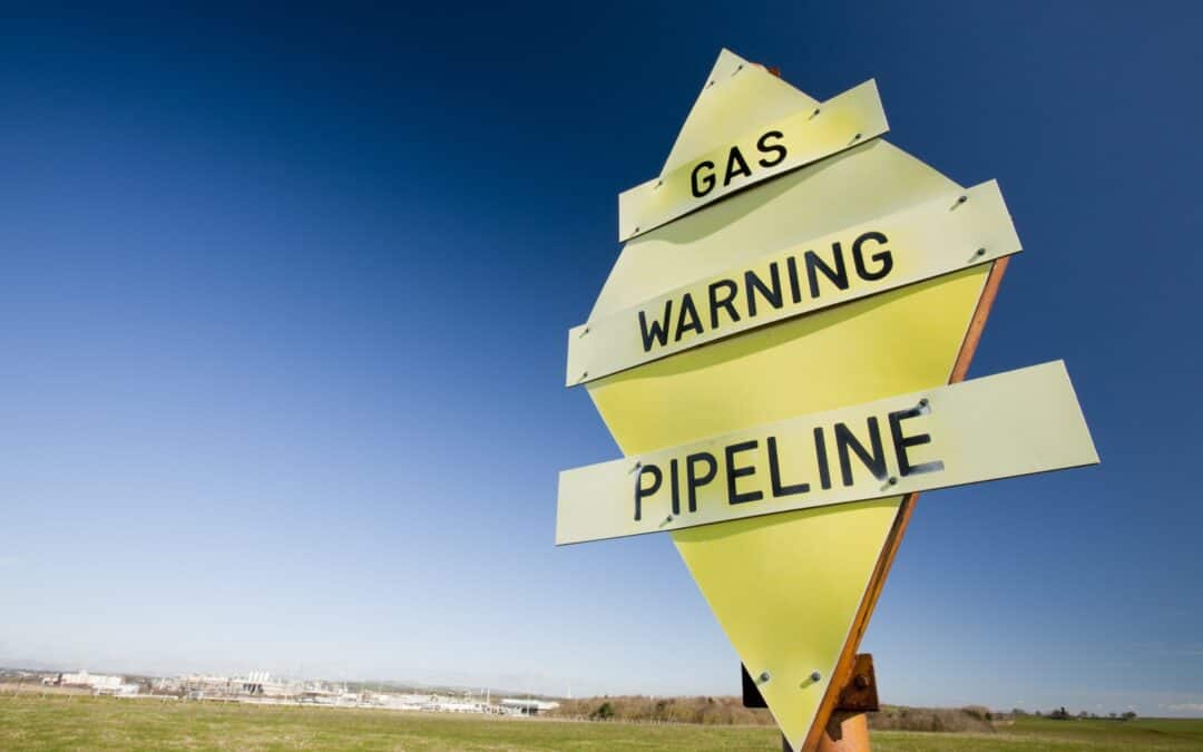 Nord Stream 2: WWF kritisiert Kanzler-Einsatz für "klimapolitisches Harakiri-Projekt