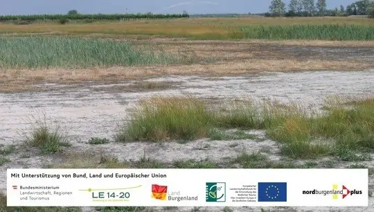 Renaturierte Lacke im Seewinkel
