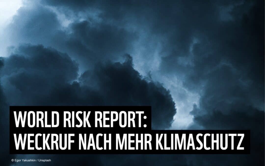 World Risk Report