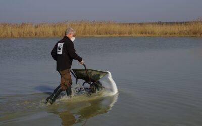 Sodawasser? Das gibt es auch in der Natur!