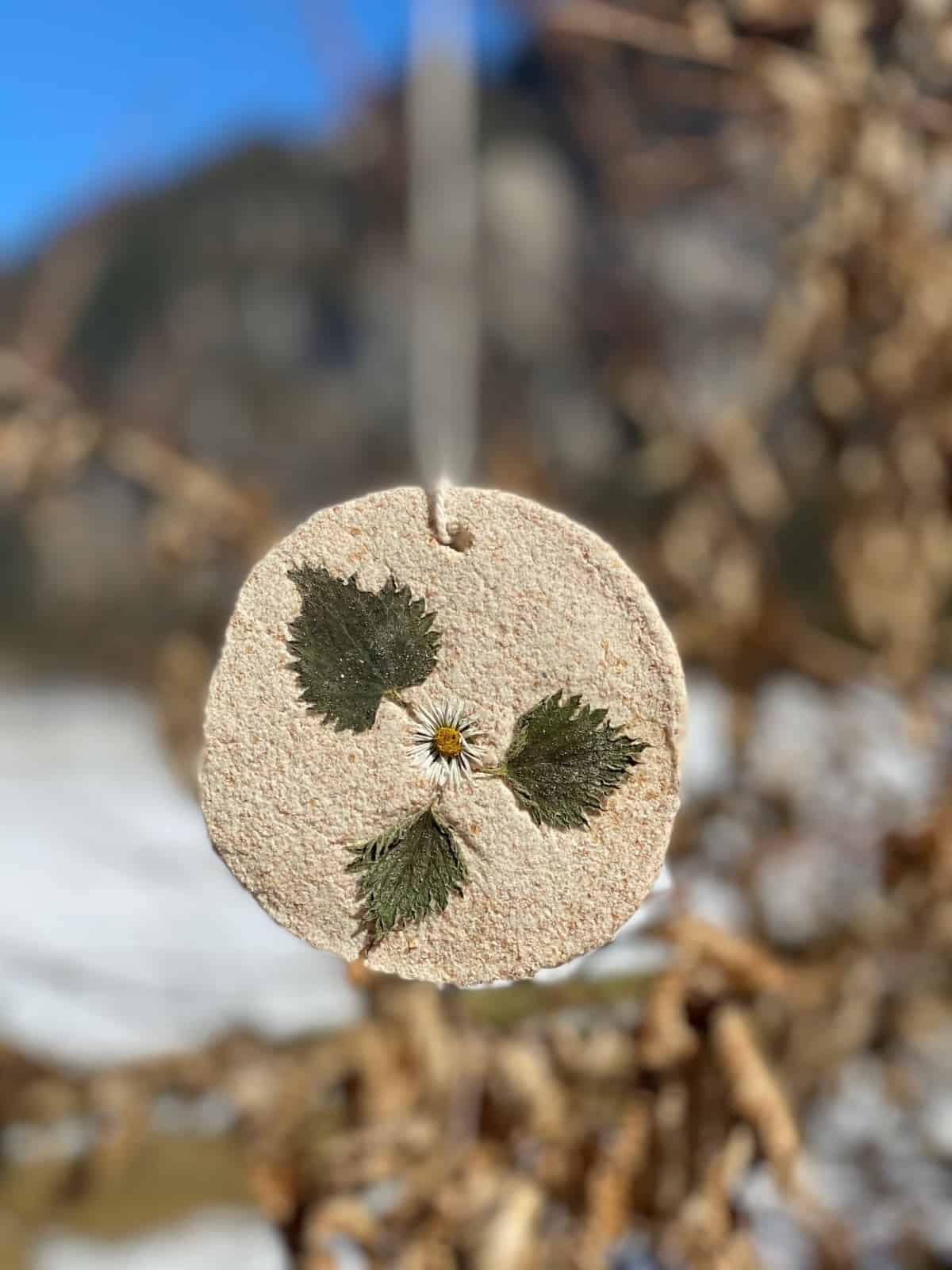 Ein Gänseblümchen mal anders! Das ist hübsch geworden, oder?, © by WWF/Susanne Haslacher Ein Gänseblümchen mal anders! Das ist hübsch geworden, oder?, © by WWF/Susanne Haslacher