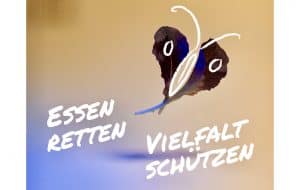 Ein Salatblatt-Schmetterling, © by Lisa Gaugl/WWF Ein Salatblatt-Schmetterling, © by Lisa Gaugl/WWF