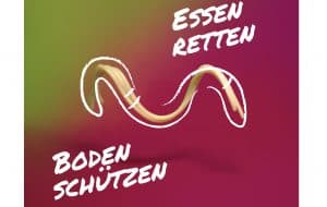 Ein Spaghetti-Regenwurm, © by Lisa Gaugl / WWF Ein Spaghetti-Regenwurm, © by Lisa Gaugl / WWF