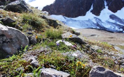 WWF zum „Tag der Erde“: Regierung muss Böden schützen und zerstörte Naturjuwele wiederherstellen