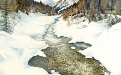 Kunstkarten-Aktion zur Rettung des Isel-Flusssystems