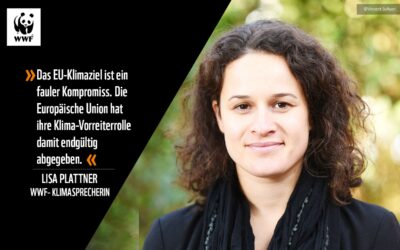 EU-Klimaziel: WWF sieht "faulen Kompromiss auf Kosten des Planeten"