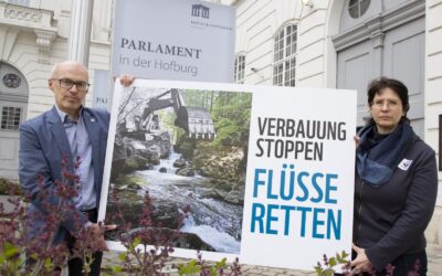 Breite Umwelt-Allianz fordert Naturschutz beim Erneuerbaren-Ausbau