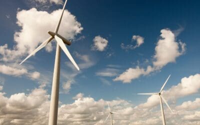 Über 240 Unternehmen fordern österreichischen „Green Deal“