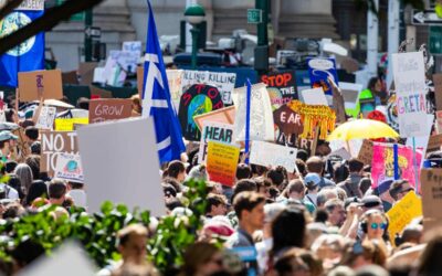 WWF: Bewusstsein für Naturschutz stieg global deutlich an