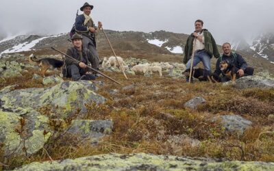 Rückkehr der Wölfe: WWF fordert Wiederbelebung des traditionellen Hirtenwesens