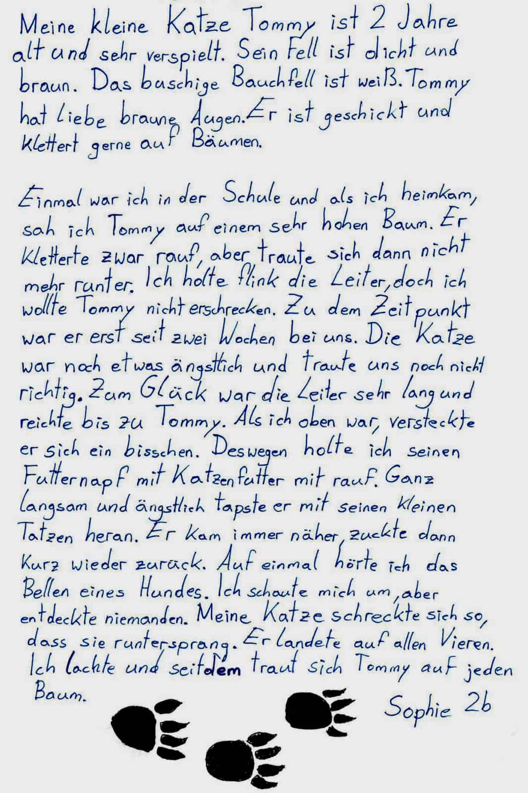 Tommy hat keine Angst vor Bäumen, © by privat Tommy hat keine Angst vor Bäumen, © by privat