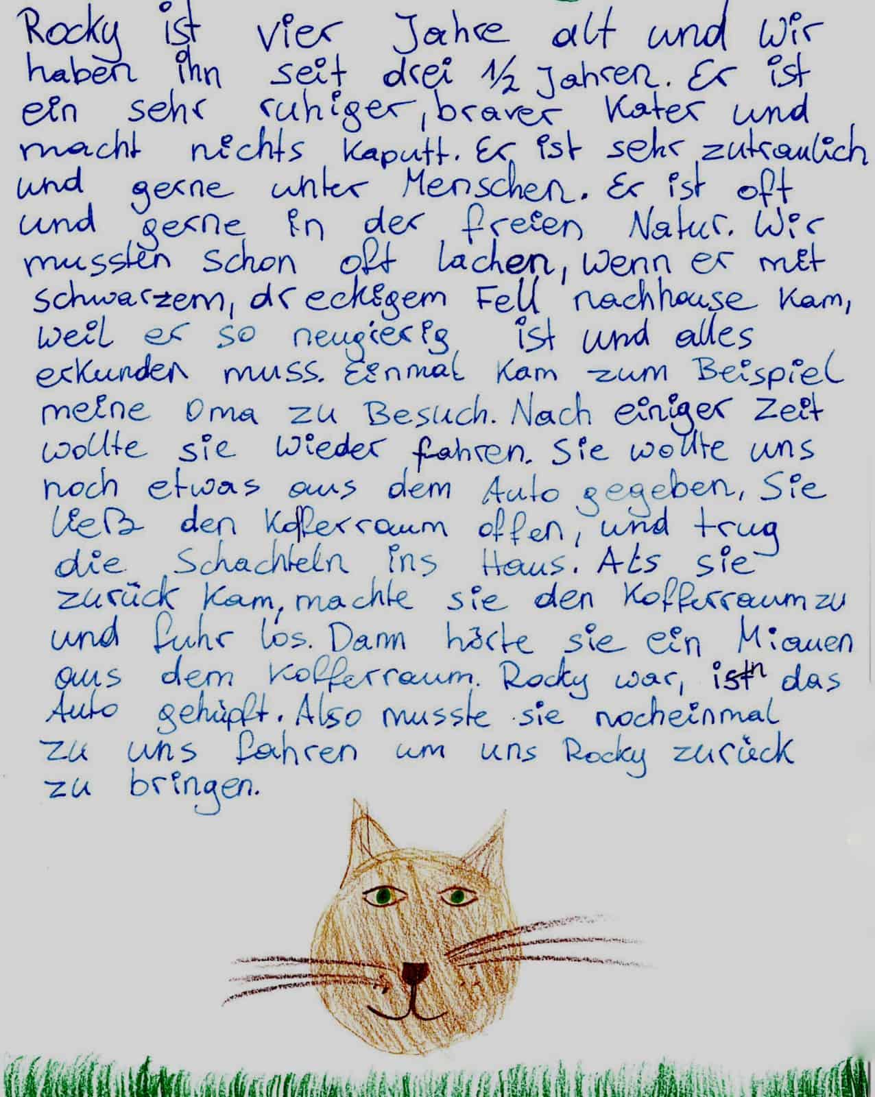 Ein blinder Passagier, © by privat Ein blinder Passagier, © by privat