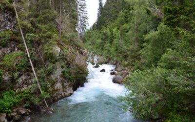 Weiteres Kraftwerk bedroht Isel-System – WWF fordert rasche Schutzgebiets-Ausweisung