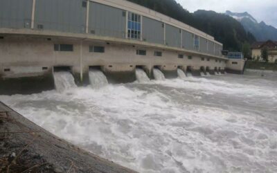 Millionen getötete Jungfische durch Wasserkraft: WWF und Tiroler Fischereiverband fordern Ende der Schwall-Belastung – VIDEO