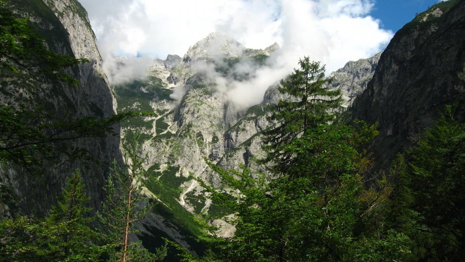 Wildnis in Österreich
